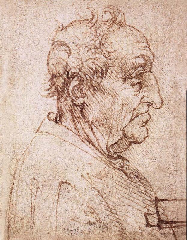 LEONARDO da Vinci Profile of an old man